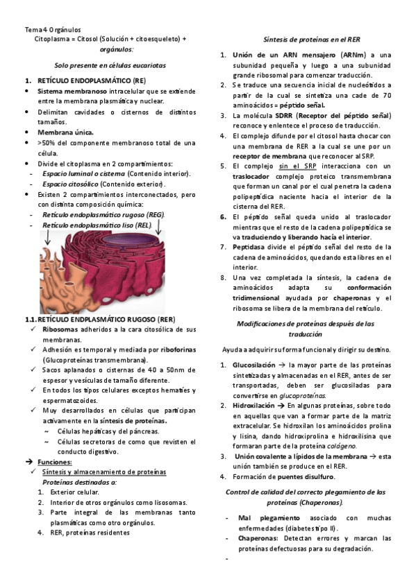 Miniatura del documento Tema-4-Organulos.pdf