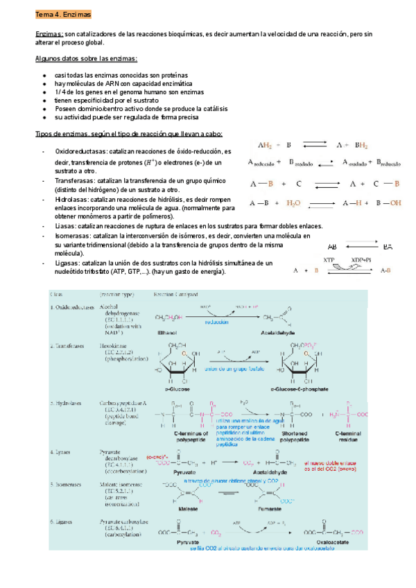 Miniatura del documento Temas-4-8.pdf
