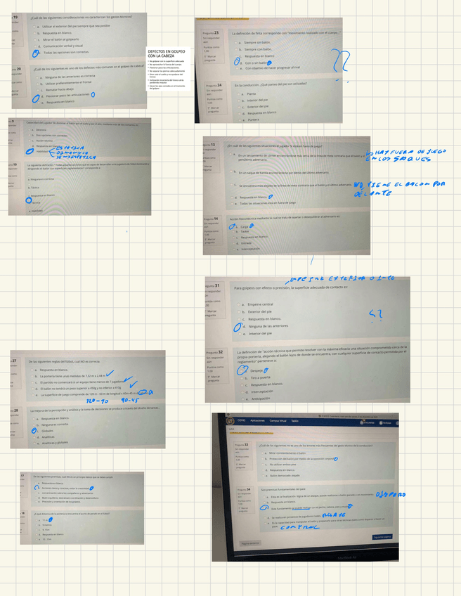 Miniatura del documento IMG0079.jpeg