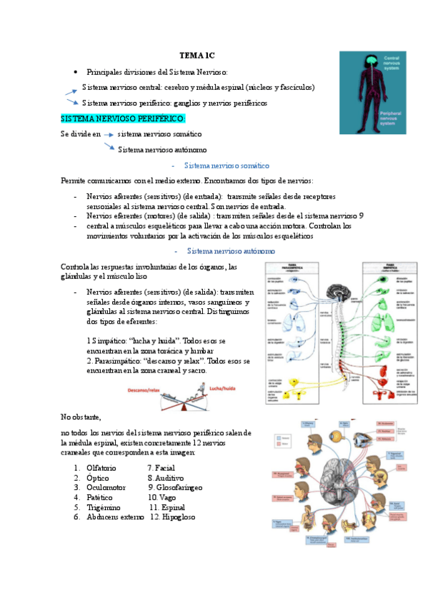 Miniatura del documento TEMA-1C.pdf