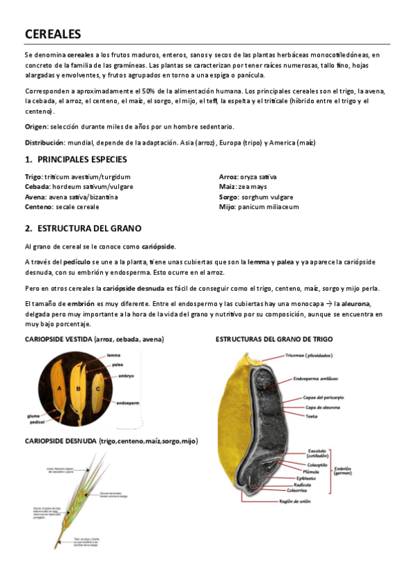 Miniatura del documento alimentos-de-origen-vegetal.pdf