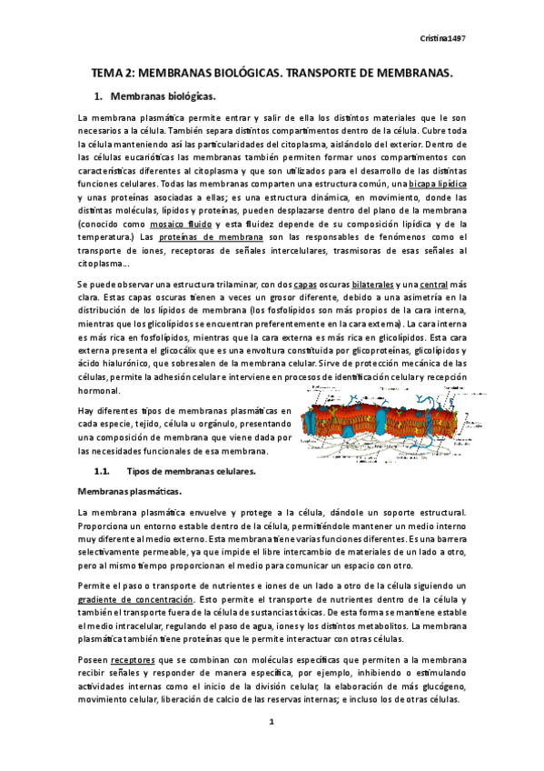 Miniatura del documento TEMA-2.-BIOLOGIA.pdf