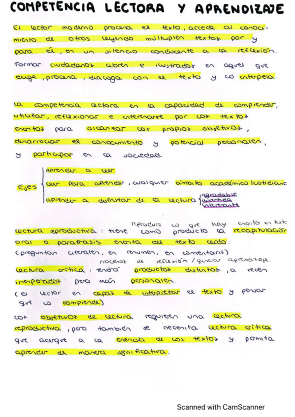 Miniatura del documento competencia-lectora-y-aprendizaje.pdf