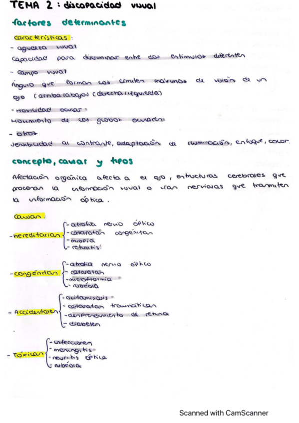 Miniatura del documento Discapacidad-visual-y-auditiva-Tema-2-y.pdf