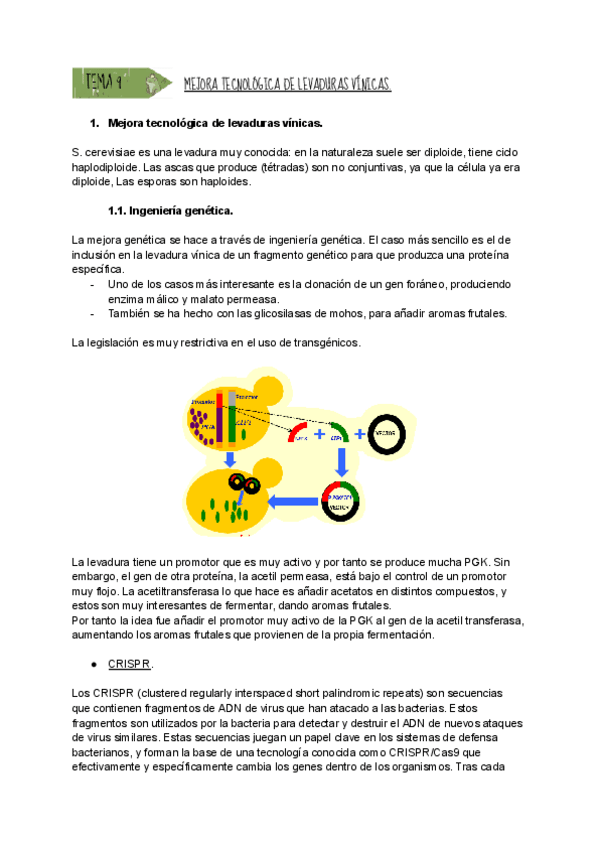 Miniatura del documento TEMA-9-MEJORA-TECNOLOGICA-DE-LEVADURAS-VINICAS.pdf