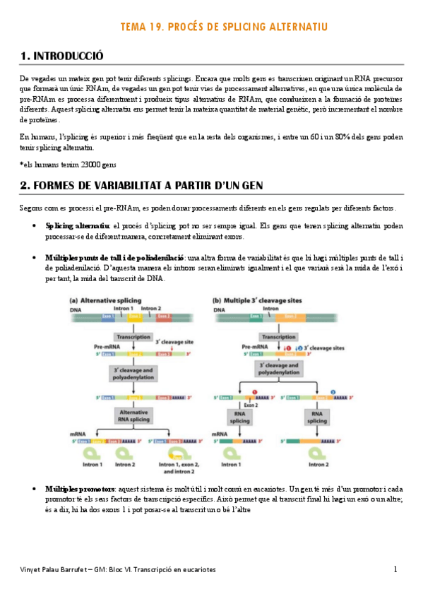 Miniatura del documento GM.-Tema-19.pdf