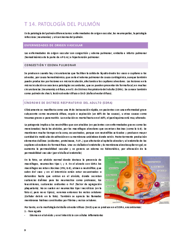 Miniatura del documento AP-Especial Tema 13, 14, 15, 21.pdf