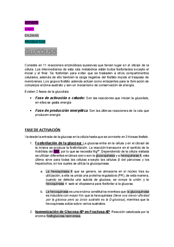 Miniatura del documento GLUCOLISIS.pdf