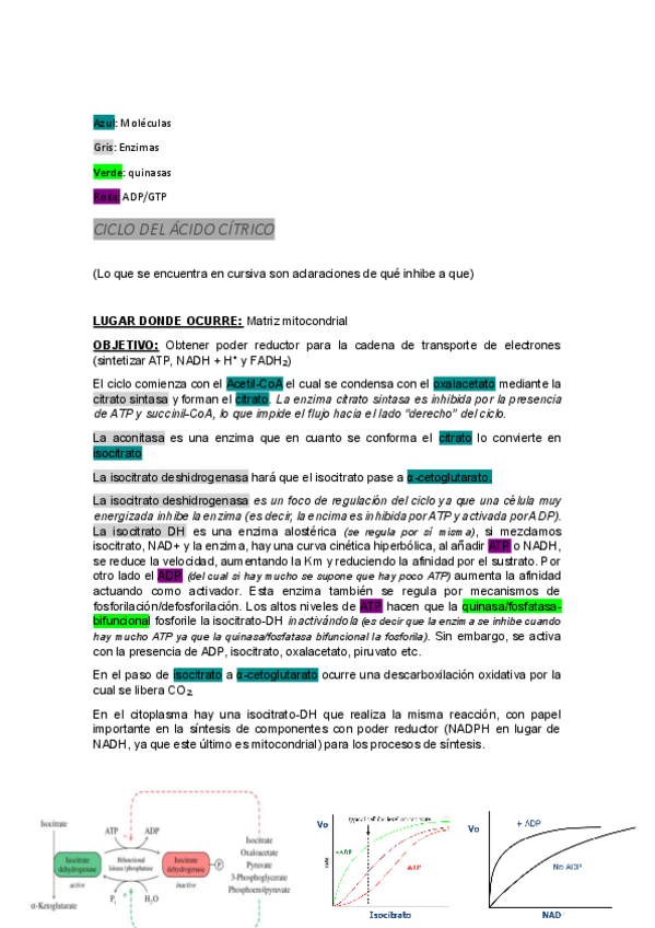 Miniatura del documento Ciclo-del-acido-citrico.pdf