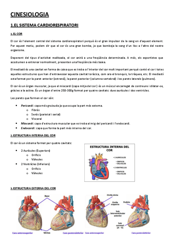 Miniatura del documento resum.pdf