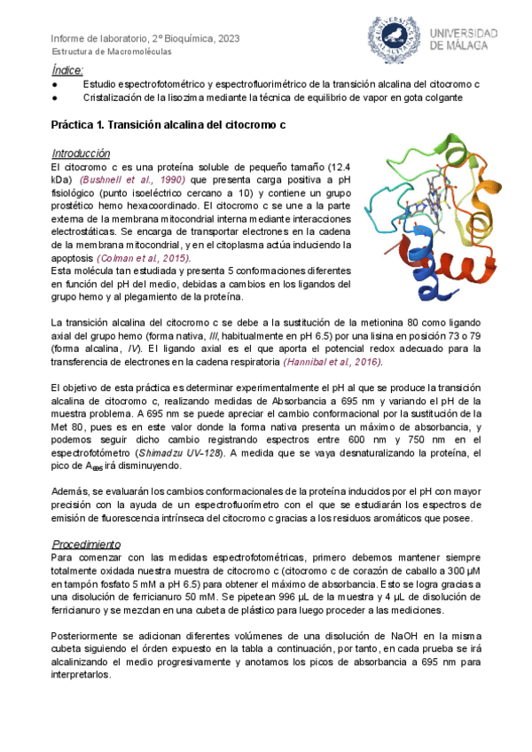 Miniatura del documento Informe-EMM.pdf