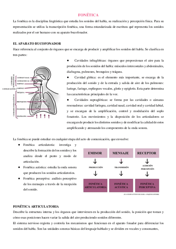 Miniatura del documento 3.-resumen-fonetica.pdf