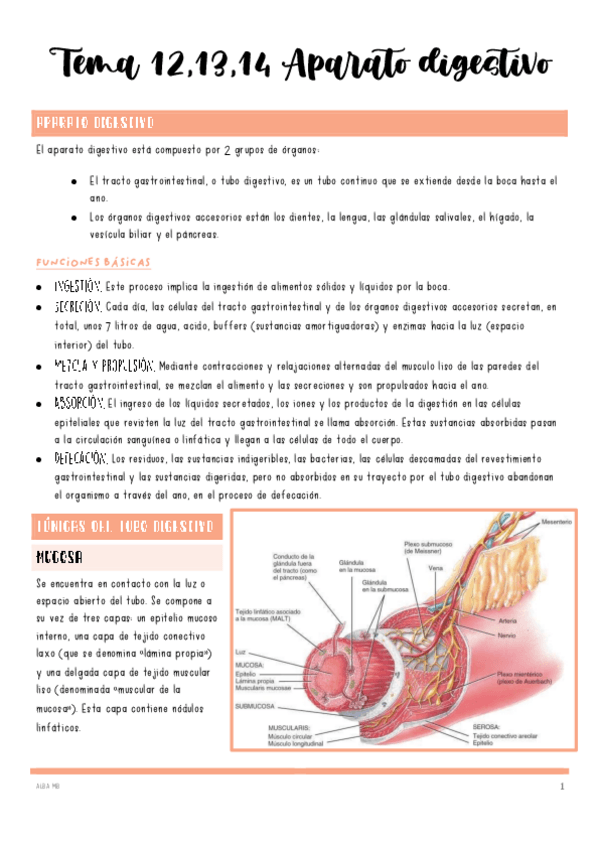 Miniatura del documento tema-12-13-14-Aparato-digestivo.pdf
