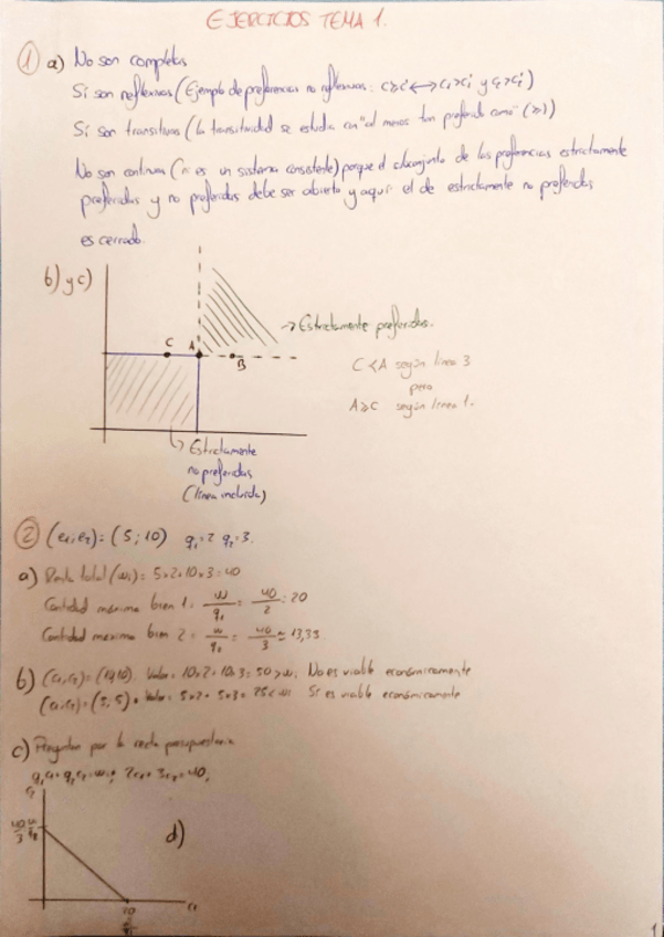 Miniatura del documento EJERCICIOS-TEMA-1.pdf