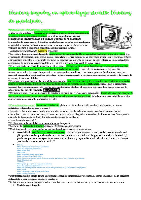 Miniatura del documento 22.-Tecnicas-basadas-en-aprendizaje-vicario.-Tecnicas-de-modelado.pdf