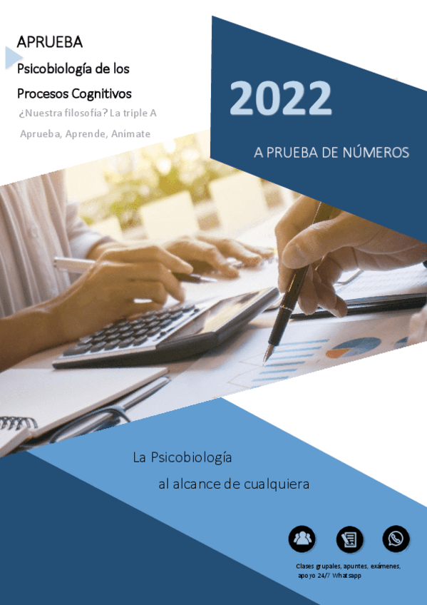 Miniatura del documento Introduccion-a-los-procesos-Psicologicos-Basicos.pdf