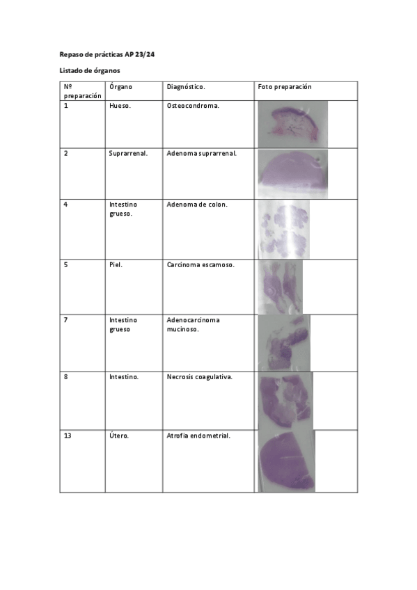 Miniatura del documento Repaso-de-practicas-AP-23-24.pdf