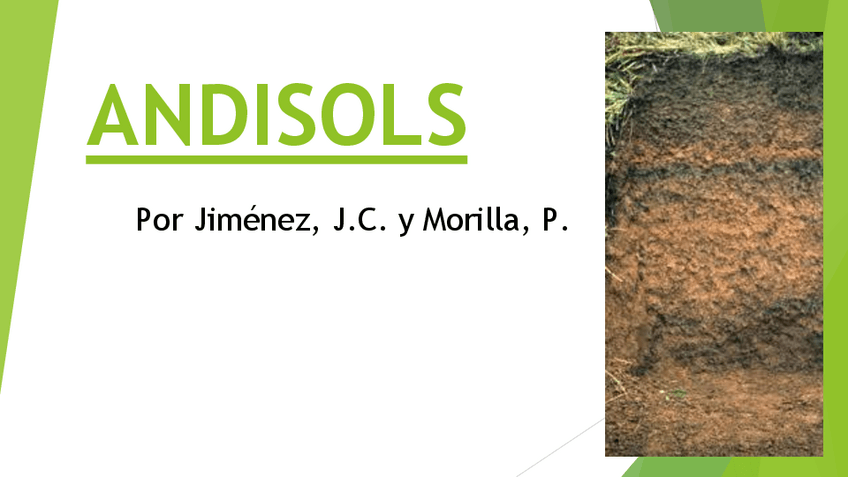 Miniatura del documento Andisols.pdf