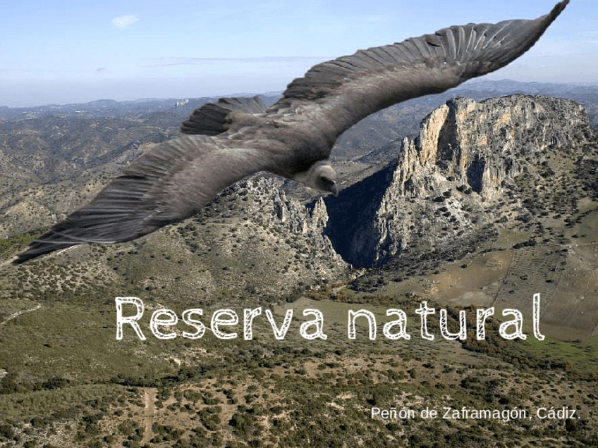 Miniatura del documento 01-Reserva-NaturalJimenez-Vazquez-JC.pdf