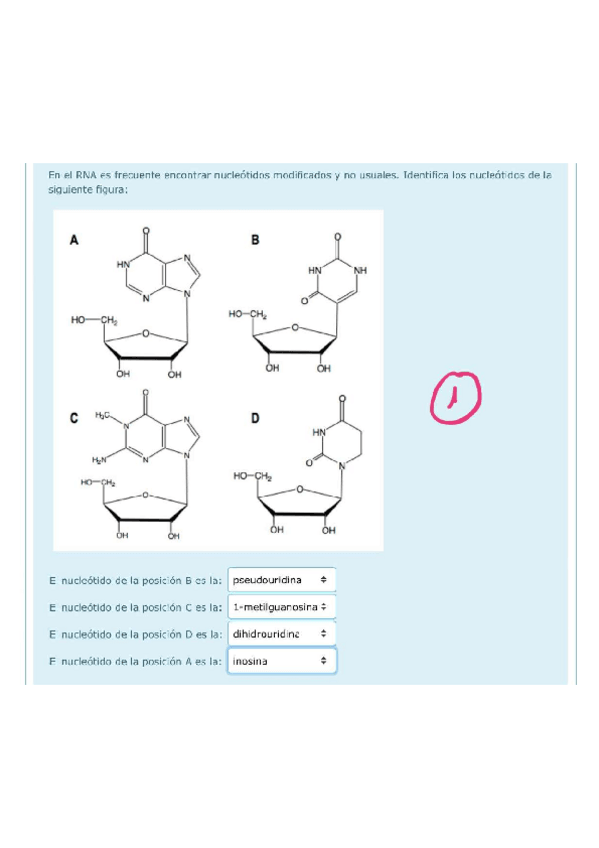 Miniatura del documento BQI-Cuestionario-T7-10.pdf