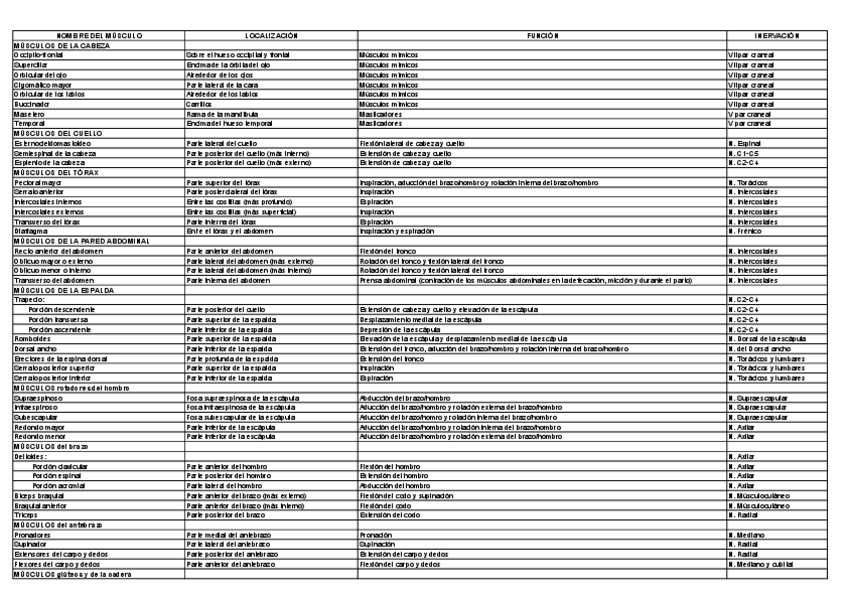 Miniatura del documento TABLA MÚSCULOS.pdf