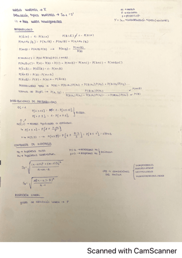 Miniatura del documento formulas-basicas.pdf
