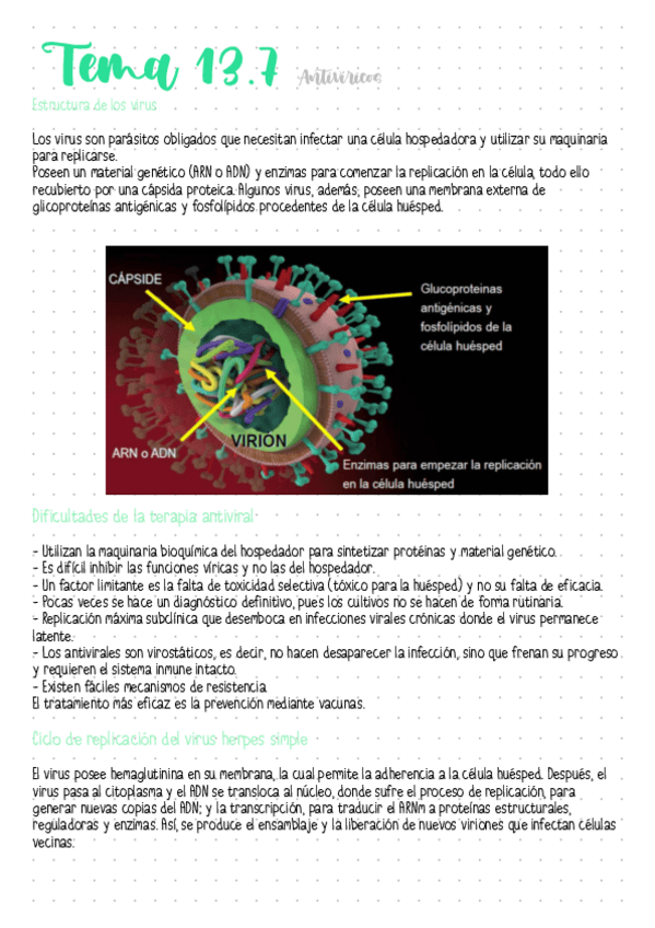 Miniatura del documento Tema-13.7-Antiviricos.pdf