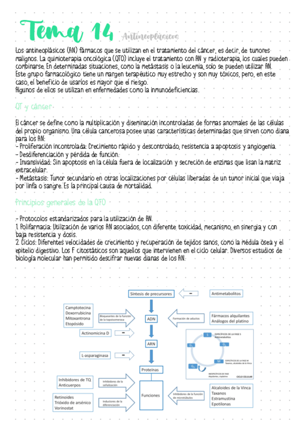 Miniatura del documento Tema-14-Antineoplasicos.pdf