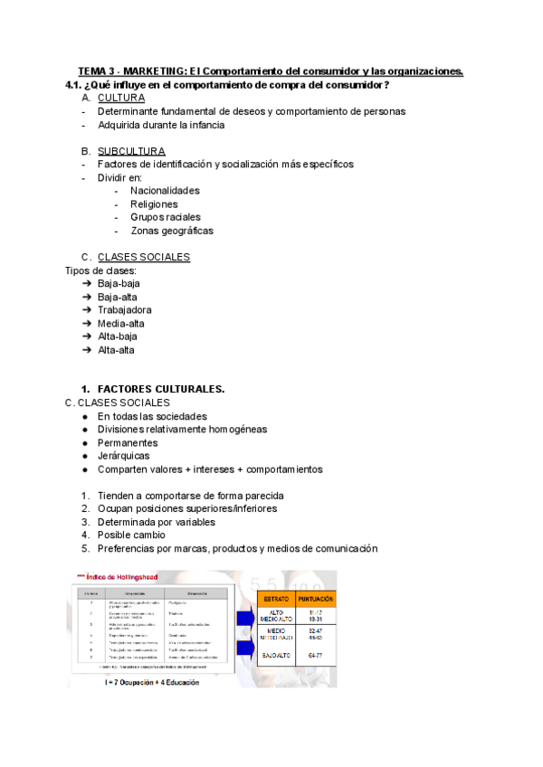 Miniatura del documento TEMA-3-MARKETING-El-Comportamiento-del-consumidor-y-las-organizaciones.pdf