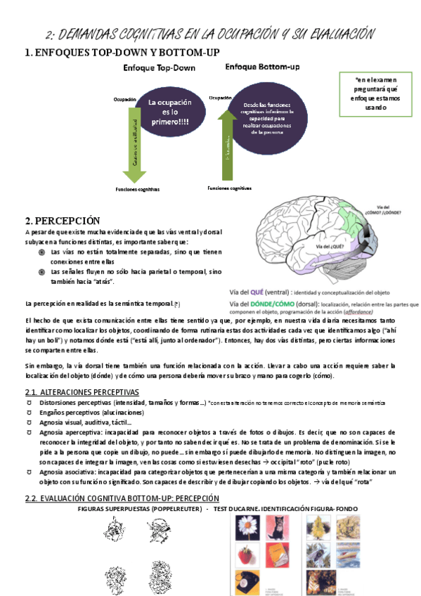 Miniatura del documento neuro-2-demandas-cognitivas-en-la-ocupacion-y-su-evaluacion.pdf