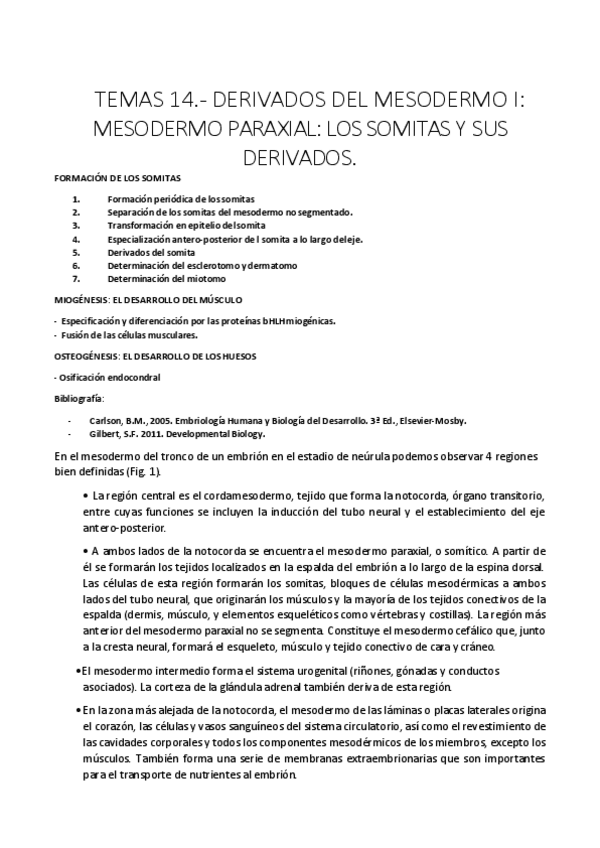 Miniatura del documento SEGUNDA PARTE Lección 14 (Falta 14c).pdf