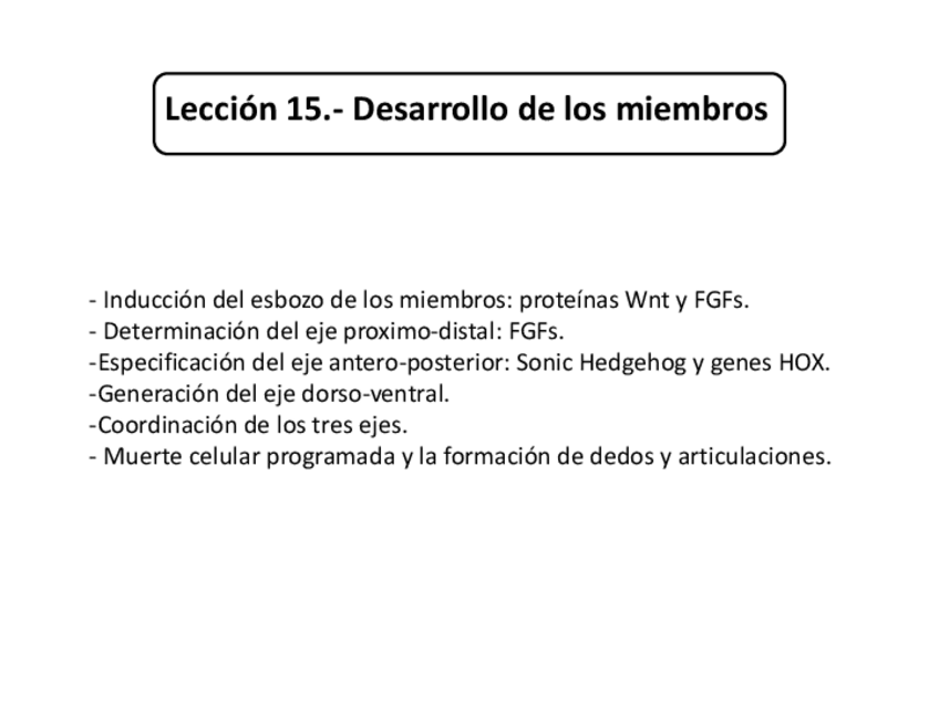 Miniatura del documento SEGUNDA PARTE Lección 15.-Desarrollo de los miembros.pdf