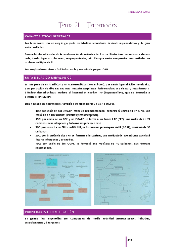 Miniatura del documento Segundo-parcial-farmacognosia.pdf