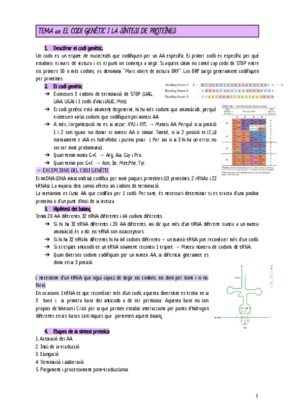 Miniatura del documento EFB-TEMA-10-EL-CODI-GENETIC-I-LA-SINTESI-DE-PROTEINES..pdf