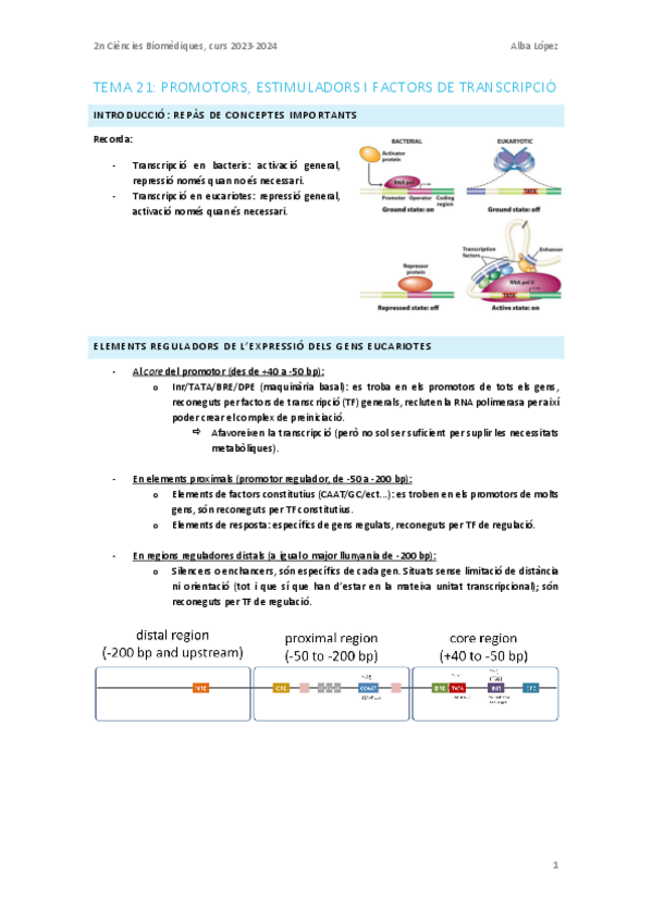 Miniatura del documento Tema-21.-Promotors-estimuladors-i-factors-de-transcripcio.pdf