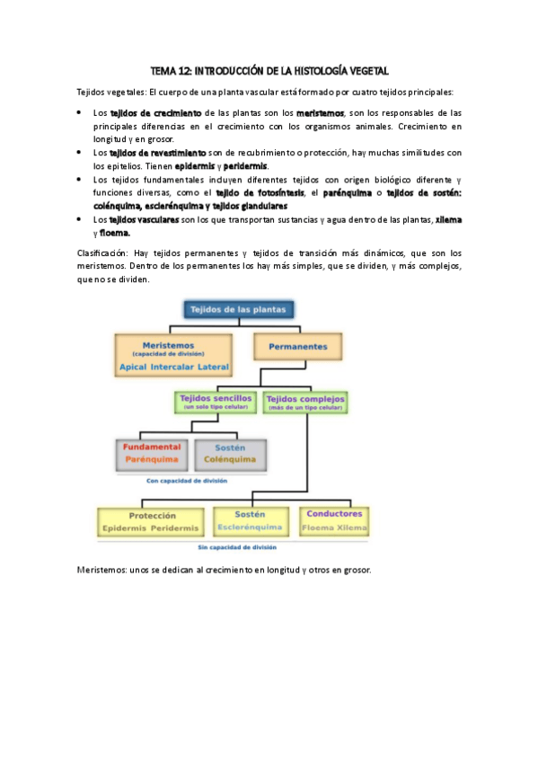 Miniatura del documento Tema-12-biocel.pdf