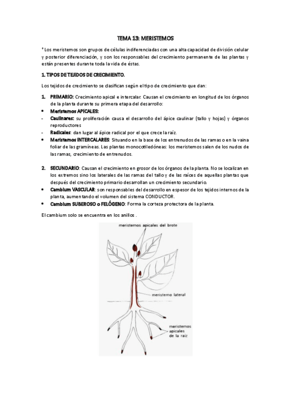 Miniatura del documento TEMA-13-biocel.pdf