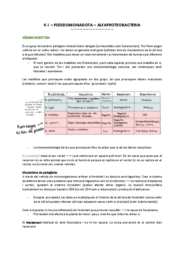 Miniatura del documento BACTERIS-GRAMNEGATIUS.pdf