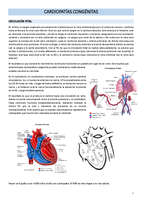 Miniatura del documento Cardiopatias-congenitas.pdf
