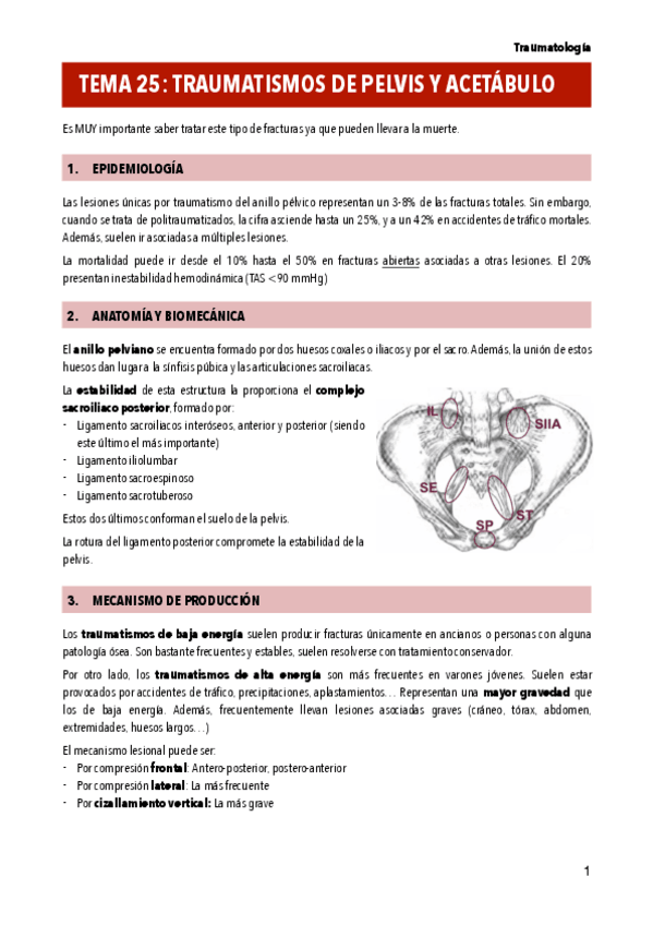Miniatura del documento T25-TRAUMATISMOS-DE-PELVIS-Y-ACETABULO.pdf