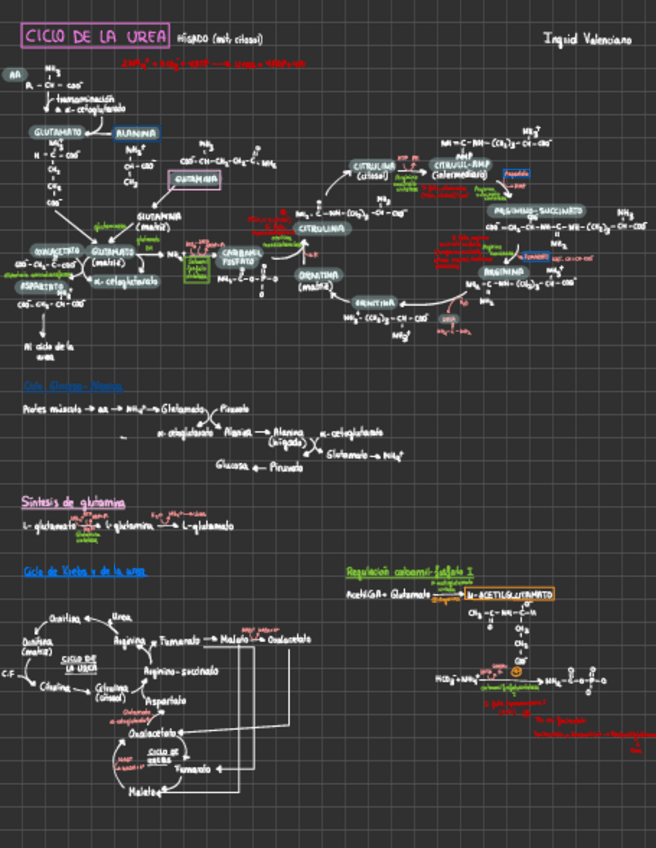 Miniatura del documento Algunos-esquemas-de-BIOQUIMICA.pdf