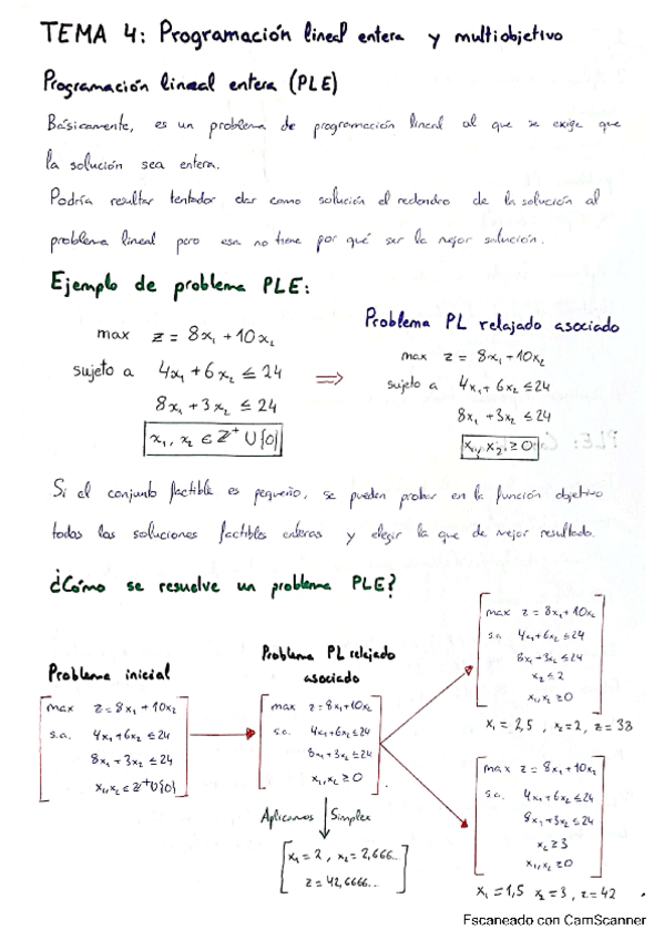 Miniatura del documento OptResumenTema4.pdf
