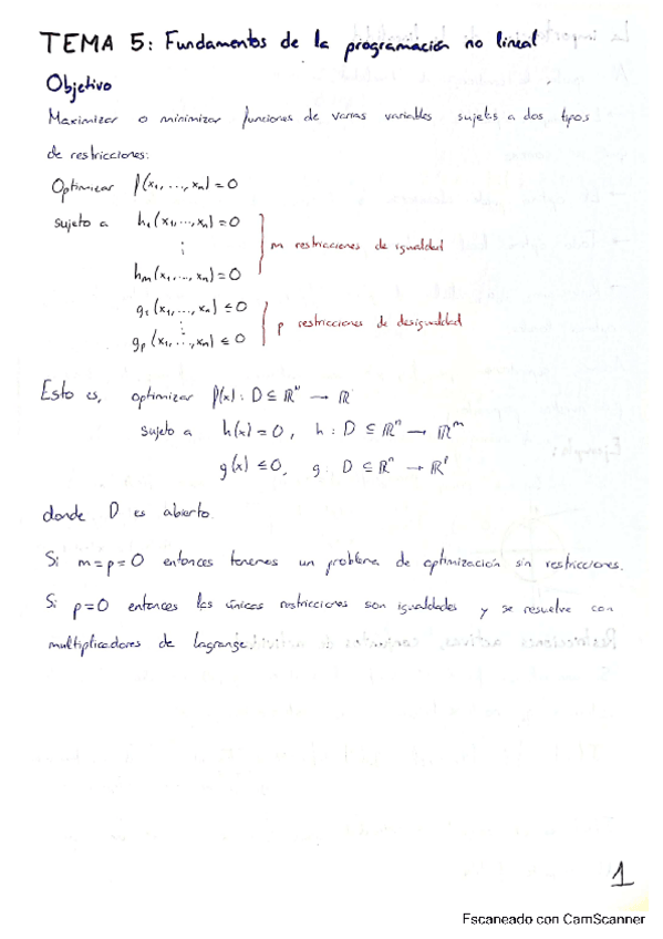 Miniatura del documento OptResumenTema5.pdf