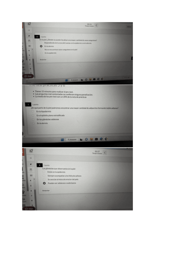 Miniatura del documento Test-Practica-5-y-6.pdf