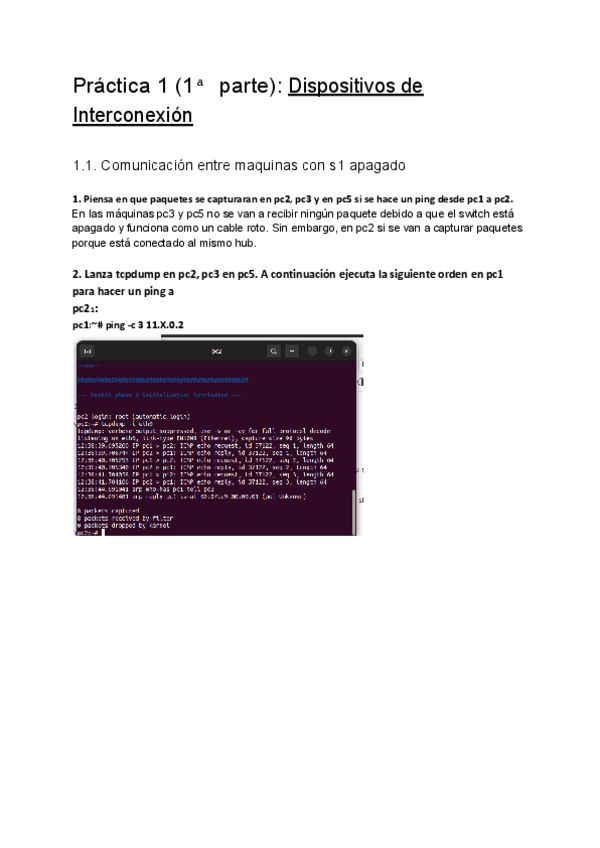 Miniatura del documento P1-dispositivos de interconexion.pdf
