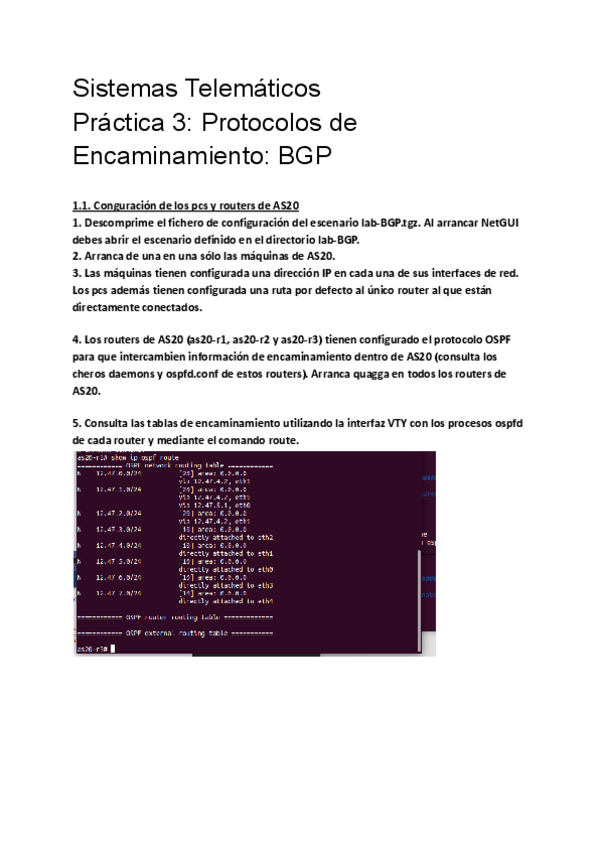 Miniatura del documento P3-protocolos-de-encaminamiento-BGP.pdf