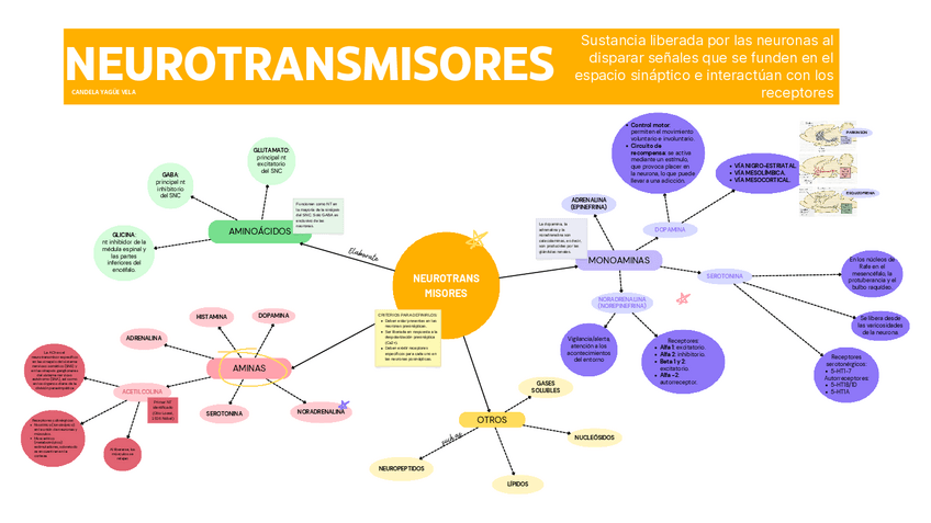 Miniatura del documento ESQUEMA-NEUROTRANSMISORES.pdf