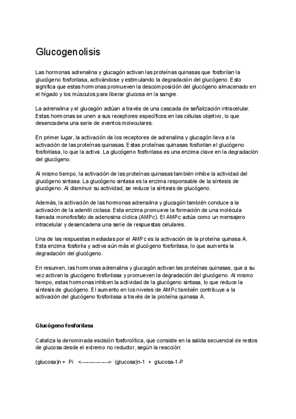 Miniatura del documento Glucogenolisis.pdf