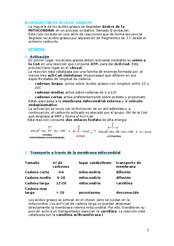 Miniatura del documento Β-oxidación.docx