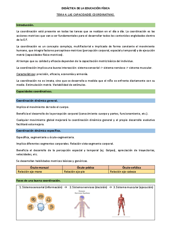 Miniatura del documento TEMA-4.-DIDACTICA-DE-LA-EDUCACION-FISICA.pdf